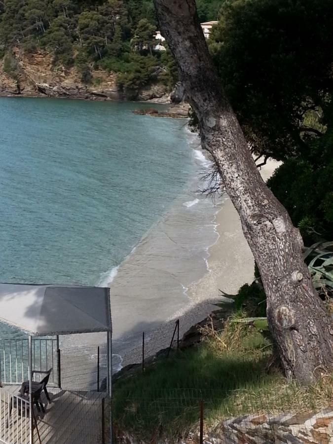 Villa Adriandre Le Le Rayol-Canadel-sur-Mer Exteriör bild