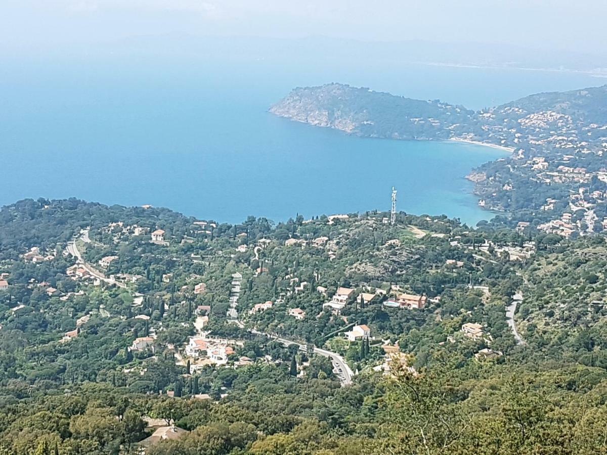 Villa Adriandre Le Le Rayol-Canadel-sur-Mer Exteriör bild