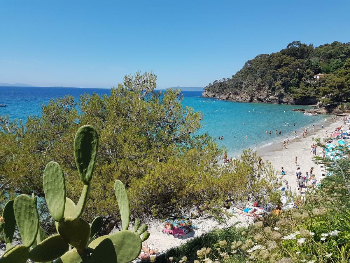 Villa Adriandre Le Le Rayol-Canadel-sur-Mer Exteriör bild